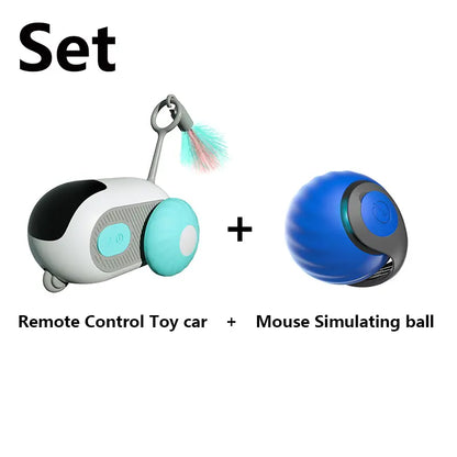 Interactive Cat Toy Set: Remote-Controlled Mouse Simulator and Auto-Moving Ball for Kittens