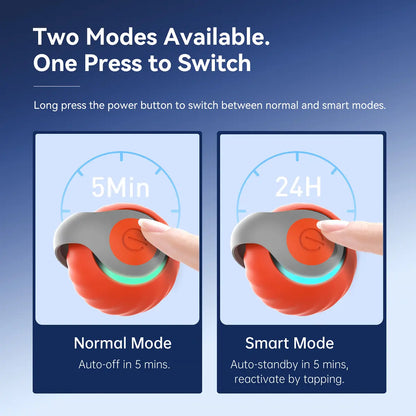 Interactive Cat Toy Set: Remote-Controlled Mouse Simulator and Auto-Moving Ball for Kittens