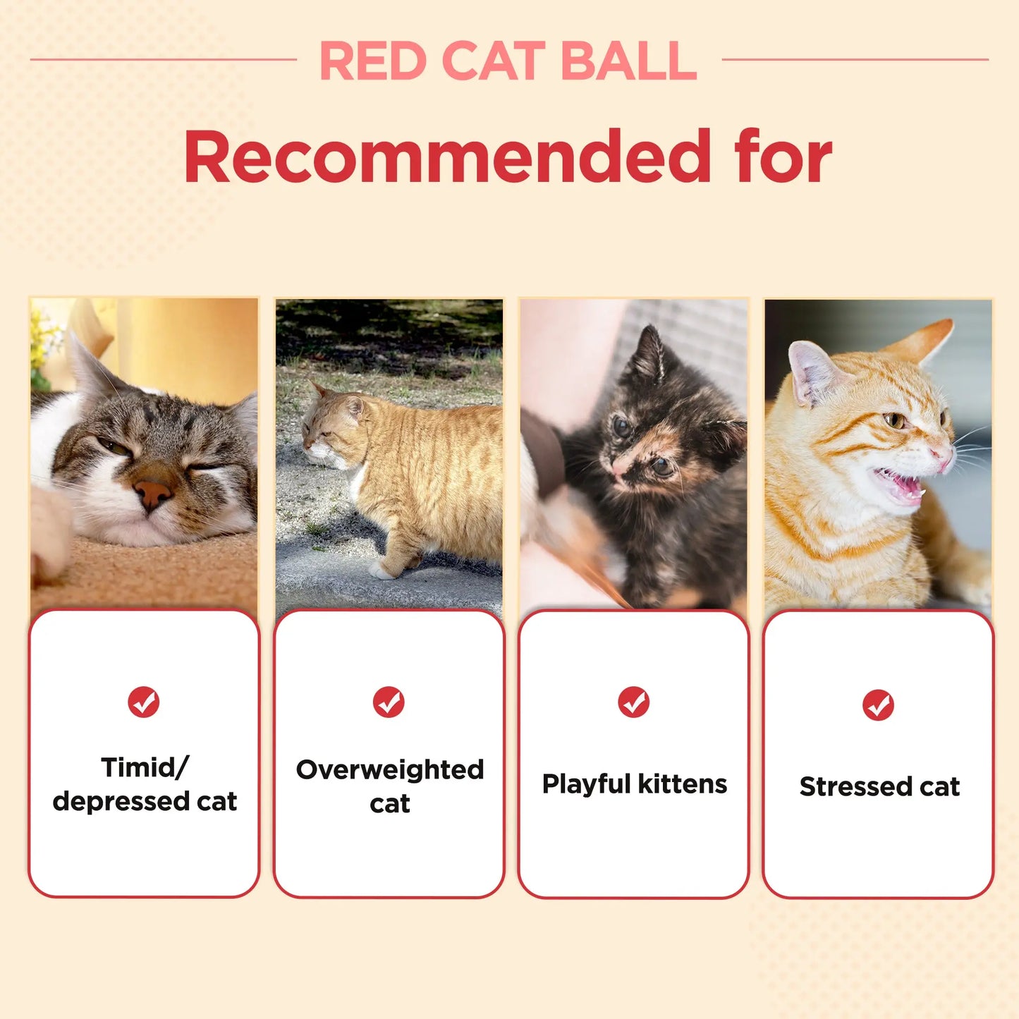 Crimson Feline Play Ball