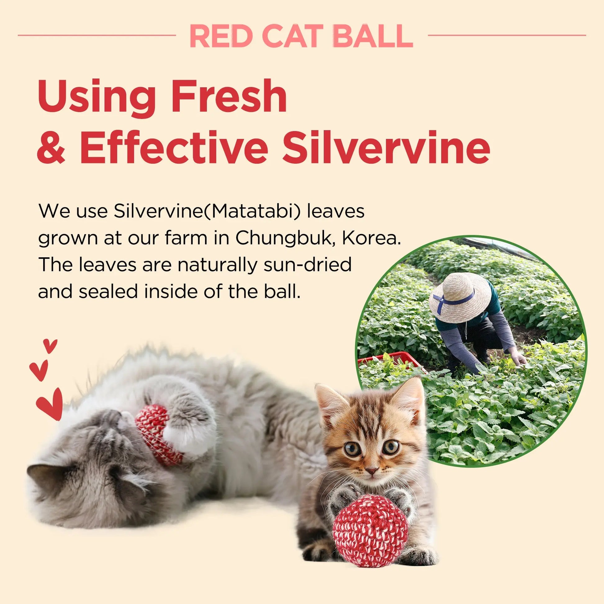 Crimson Feline Play Ball