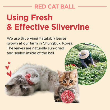 Crimson Feline Play Ball