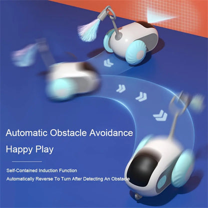 Interactive Cat Toy Set: Remote-Controlled Mouse Simulator and Auto-Moving Ball for Kittens