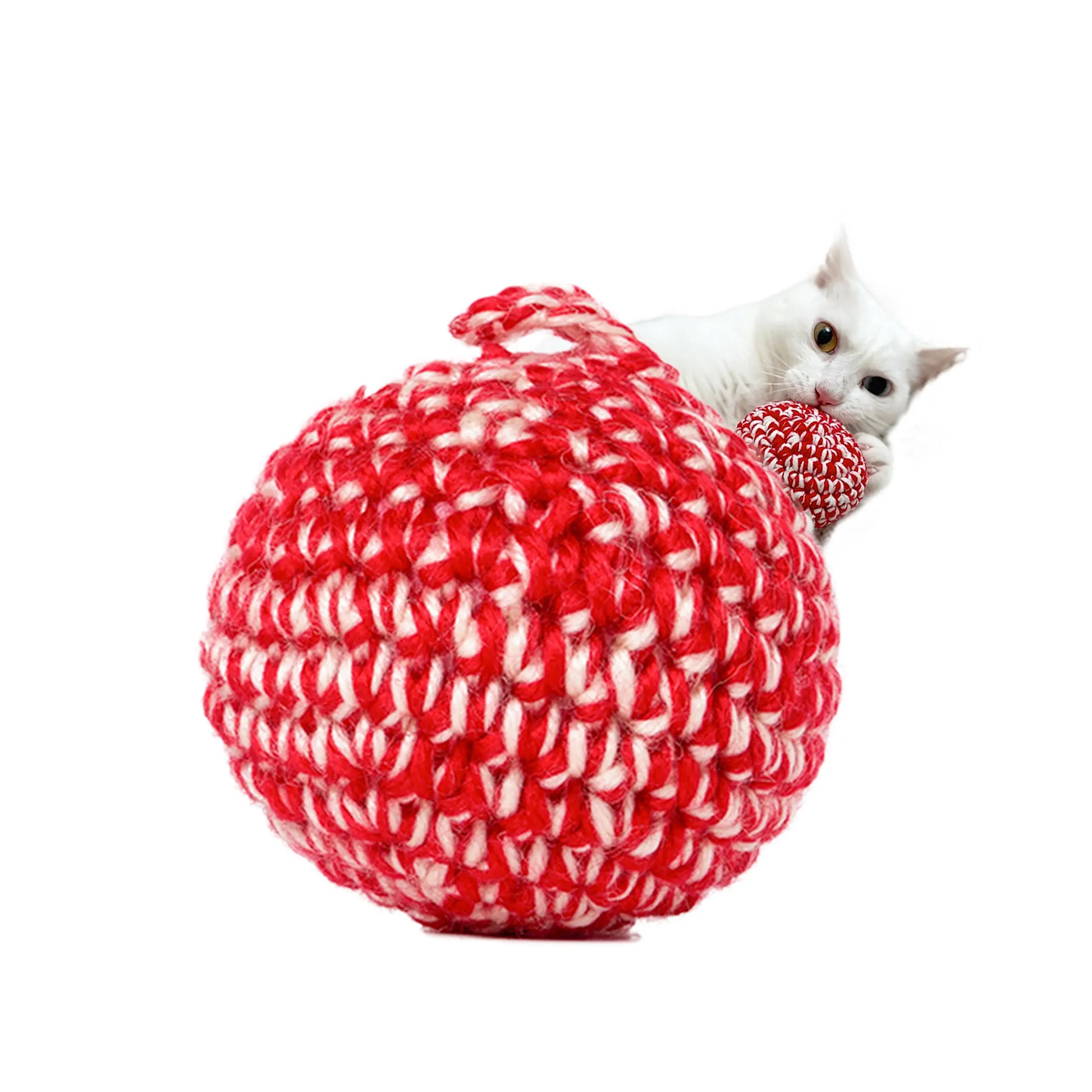 Crimson Feline Play Ball