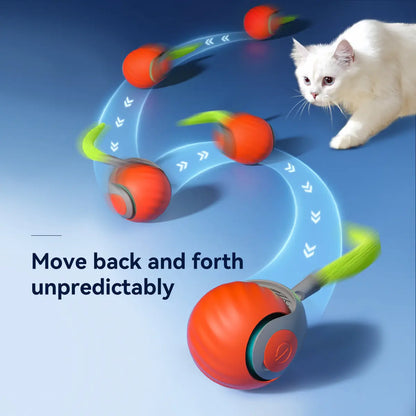 Interactive Cat Toy Set: Remote-Controlled Mouse Simulator and Auto-Moving Ball for Kittens