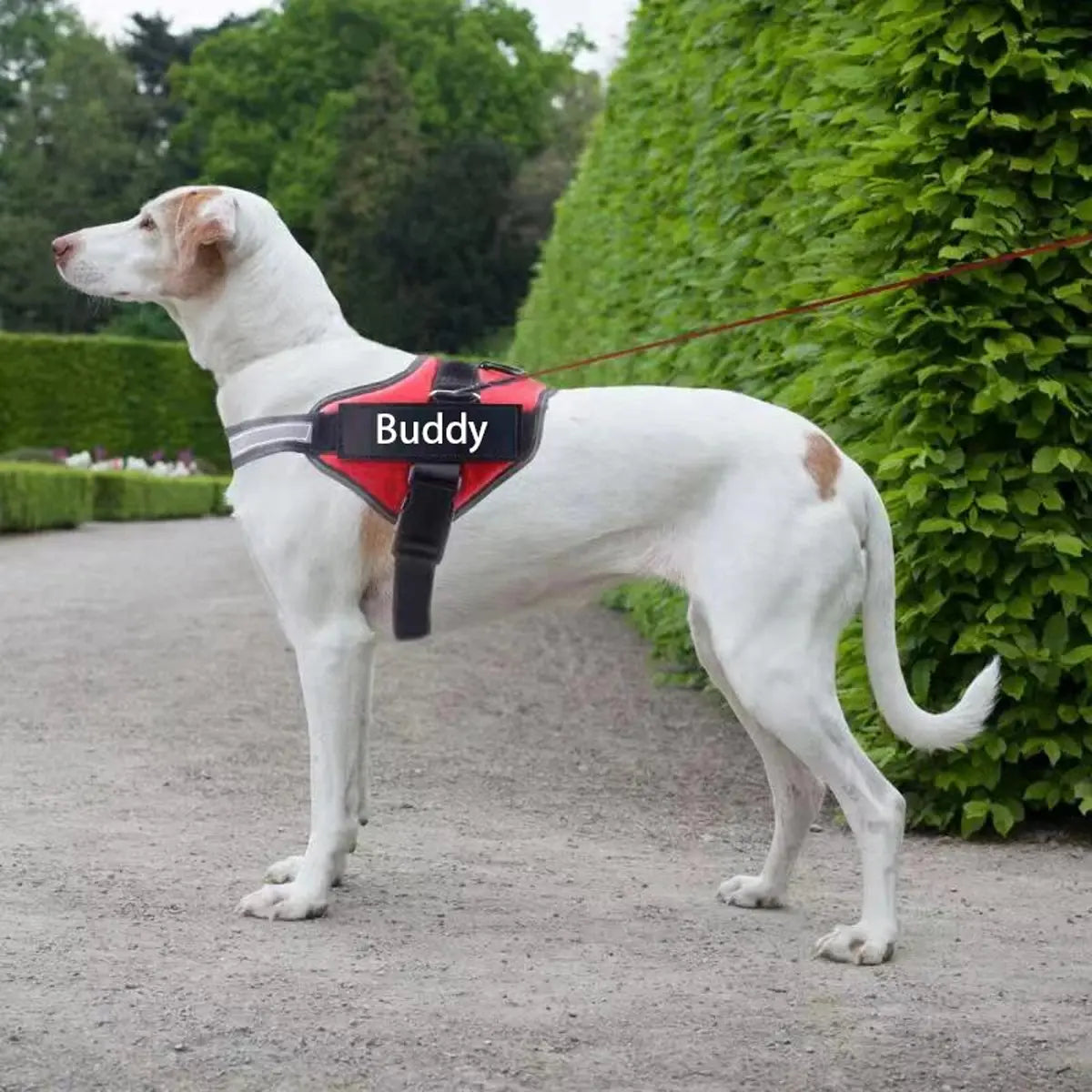 Personalized Dog Harness Reflective Adjustable Dog Harness Vest for Small Large Dog with Customized Patch Dogs Training Supplies