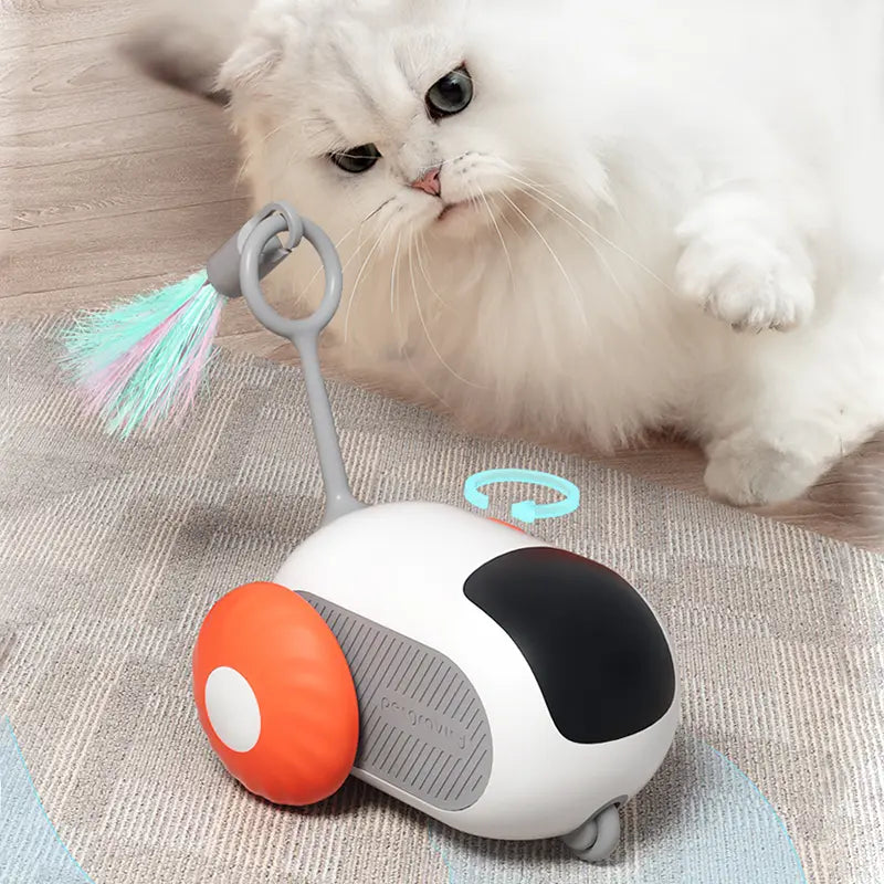 Interactive Cat Toy Set: Remote-Controlled Mouse Simulator and Auto-Moving Ball for Kittens