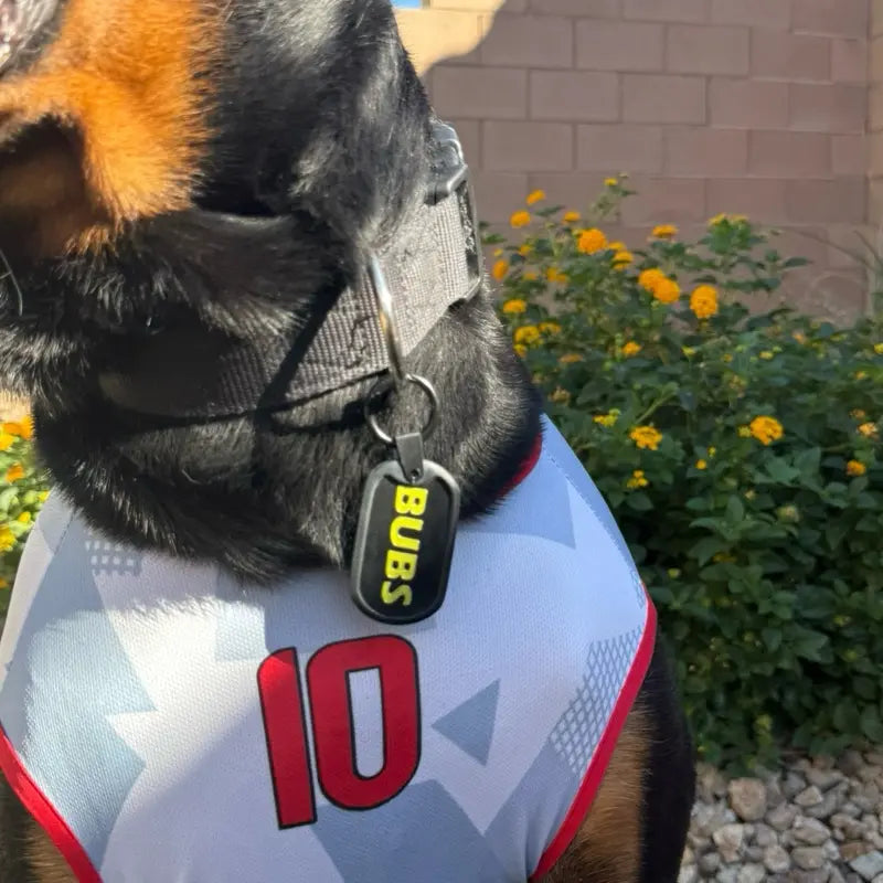 Custom Smart NFC Dog Tag – Personalized Pet ID with Tap Access