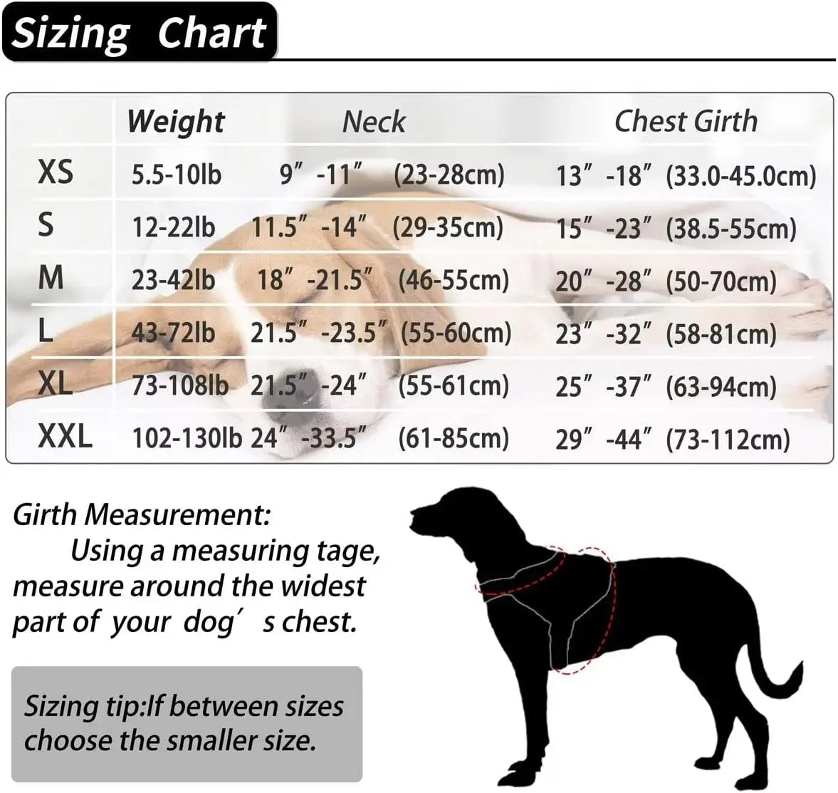 Personalized Dog Harness Reflective Adjustable Dog Harness Vest for Small Large Dog with Customized Patch Dogs Training Supplies